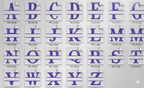 540 GSM Split Initial Personalized Terry Cotton Towel Set of 2