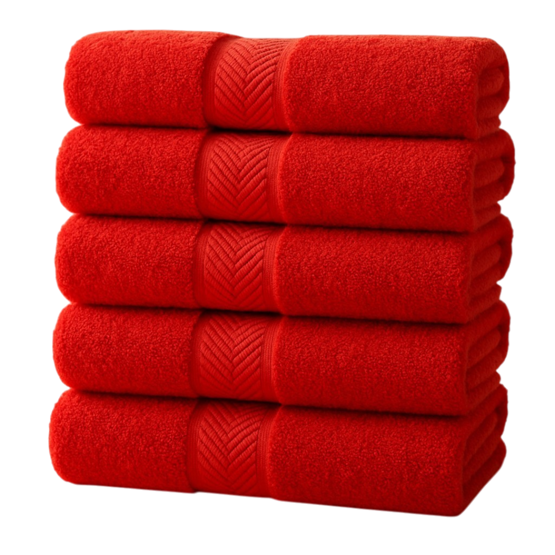 540 GSM Terry Cotton Hand Towels - Set of 6